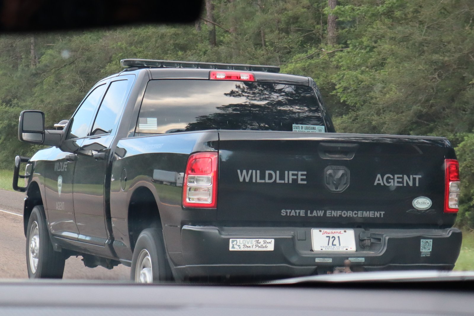 wildlife