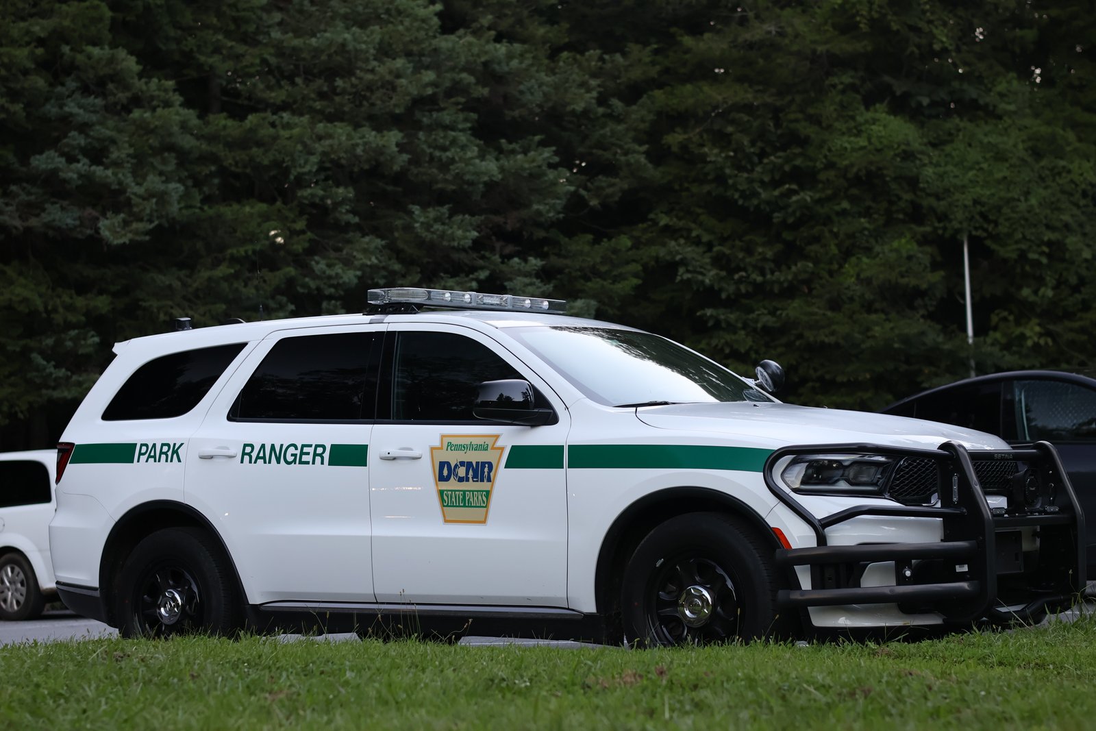 dcnr
