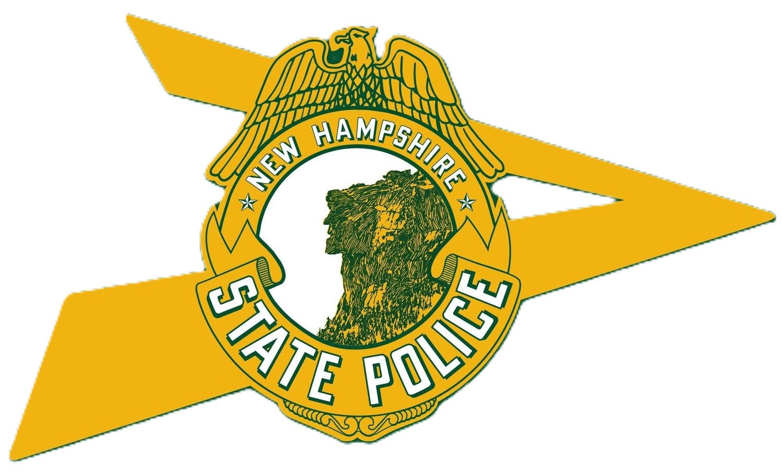 NHSP logo