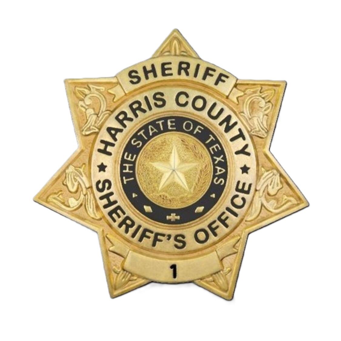 HCSO logo